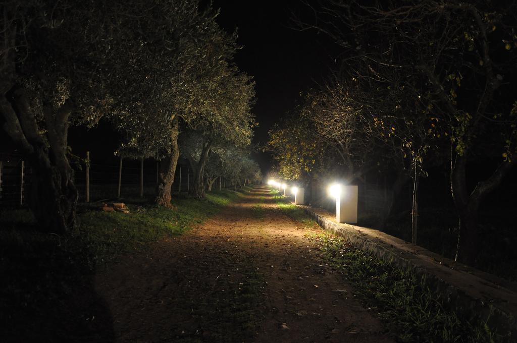Quinta Da Sardinha Villa Elvas Luaran gambar